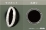 SUSSUS304: 0.3×0.1×1000(5本入)